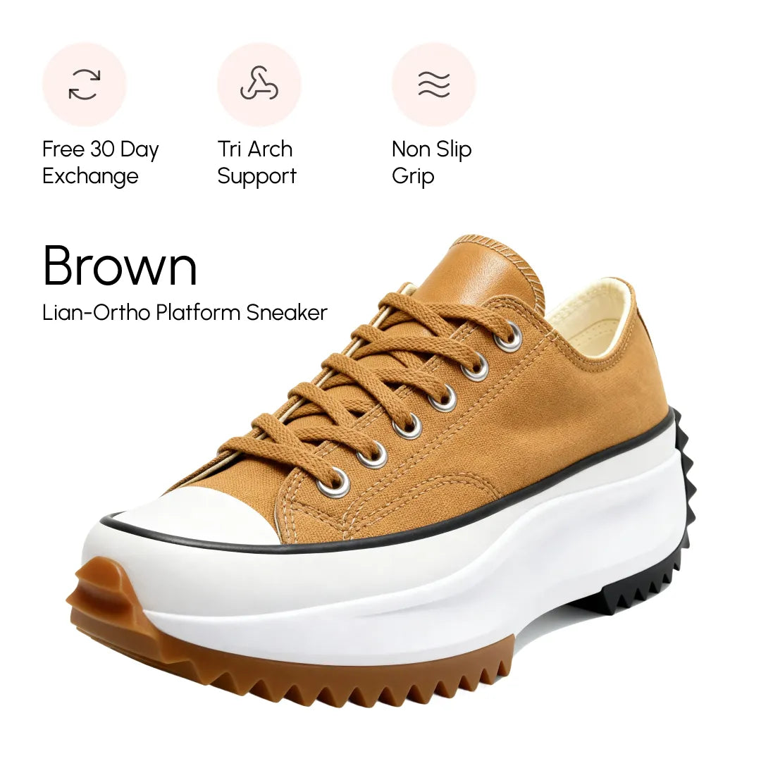 Brown / 12
