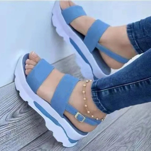 Blue / CA 6 (EU 37)