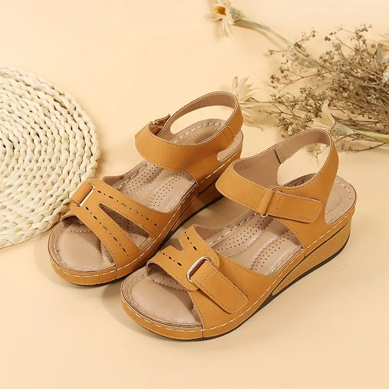 Brown Yellow / 43
