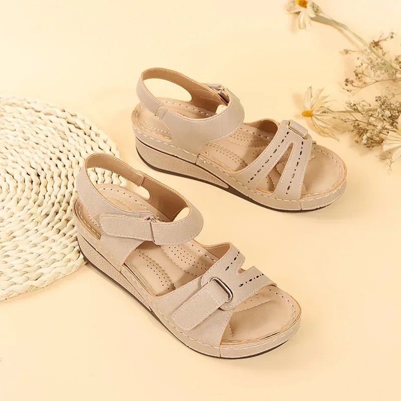 Beige / 43