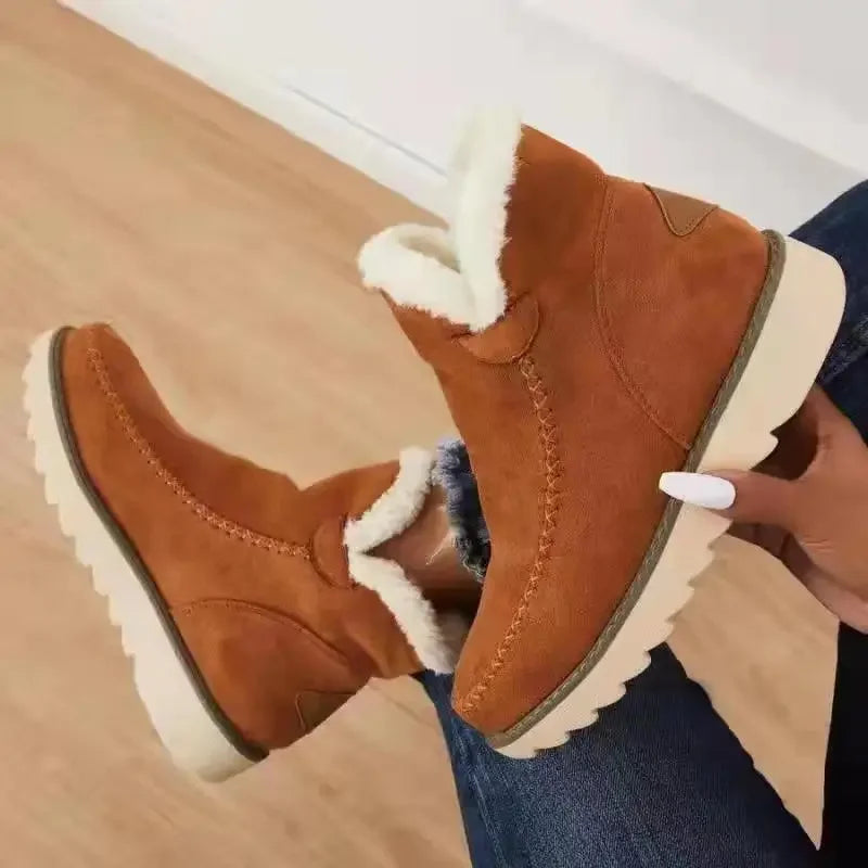 Brown / 12