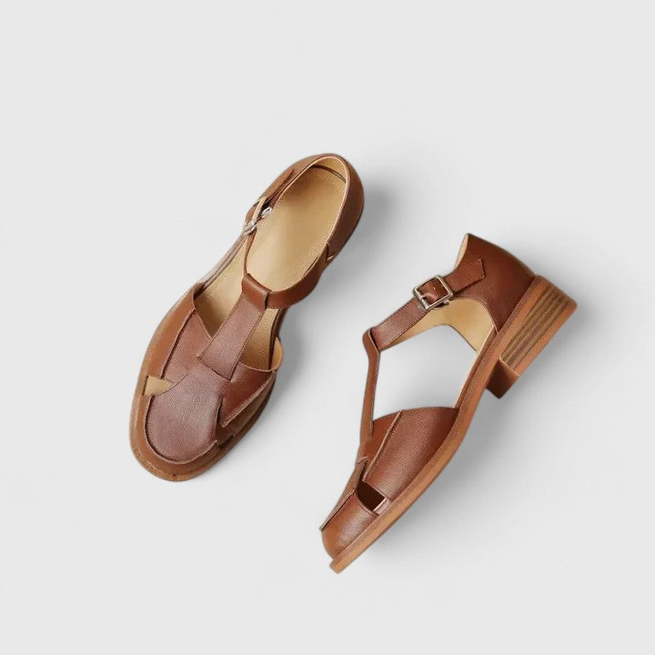 Brown / 11
